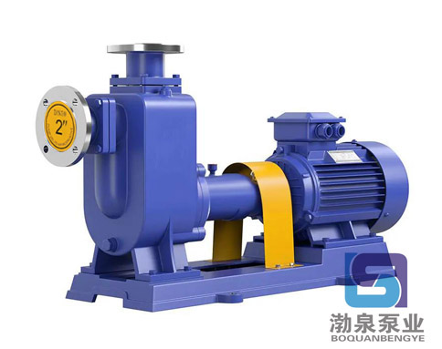 ZW150-180-38_自吸式化工排污泵